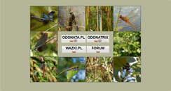 Desktop Screenshot of odonata.pl