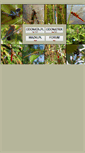 Mobile Screenshot of odonata.pl
